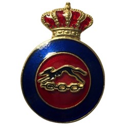 DISTINTIVO INSTRUCTOR...