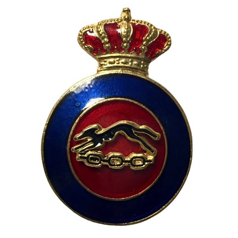 DISTINTIVO INSTRUCTOR EDUCACION FISICA