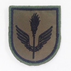 PARCHE BRAZO GRUPO...