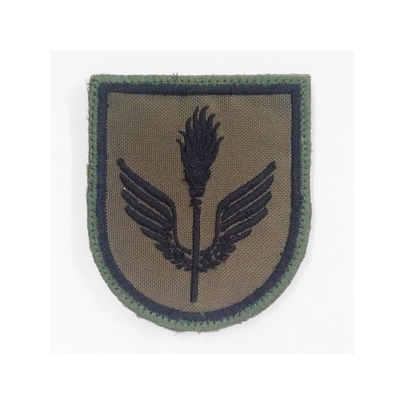 PARCHE BRAZO GRUPO LOGISTICO AVILA