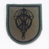 PARCHE BRAZO GRUPO LOGISTICO PARACAIDISTA