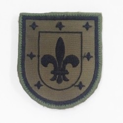 PARCHE BRAZO AGBS (MADOC)