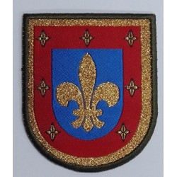 PARCHE BRAZO AGBS (MADOC)...