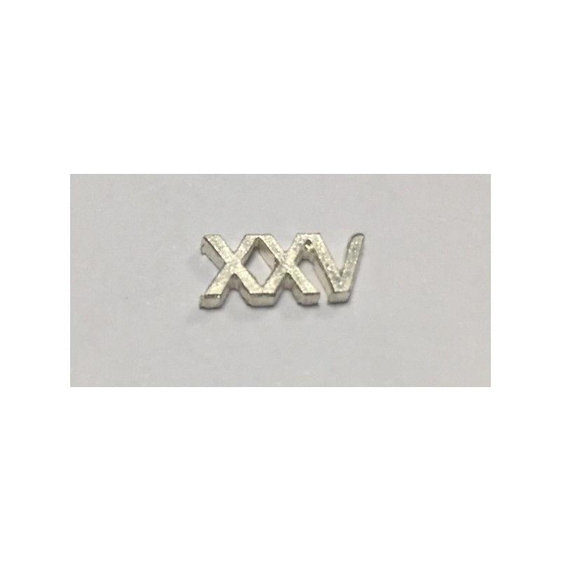 NUMERAL POLICIA XXV AÑOS