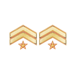 GALONES SUBOFICIAL MAYOR...