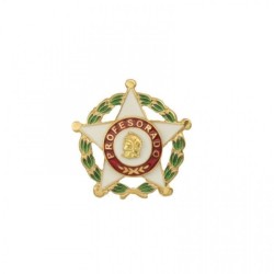 DISTINTIVO DE PROFESORADO...