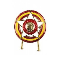 DISTINTIVO DE PROFESORADO...
