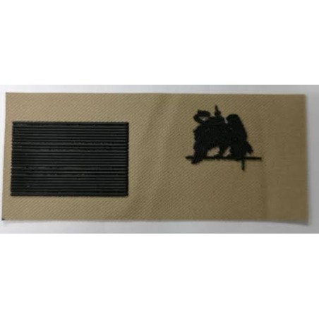 CINTA ARIDA PVC EJERCITO DE TIERRA