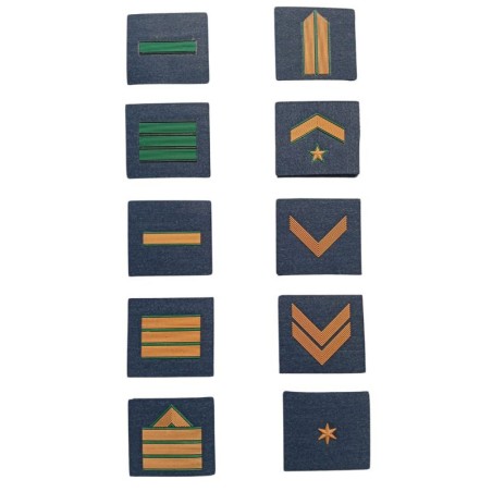 DIVISAS GIMNASIA EJERCITO DEL AIRE