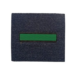 DIVISAS GIMNASIA EJERCITO DEL AIRE