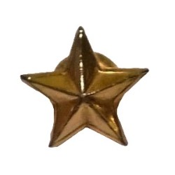 ESTRELLA 5 PUNTAS ESTADO MAYOR