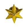 ESTRELLA DE 6 PUNTAS EJERCITO DE TIERRA