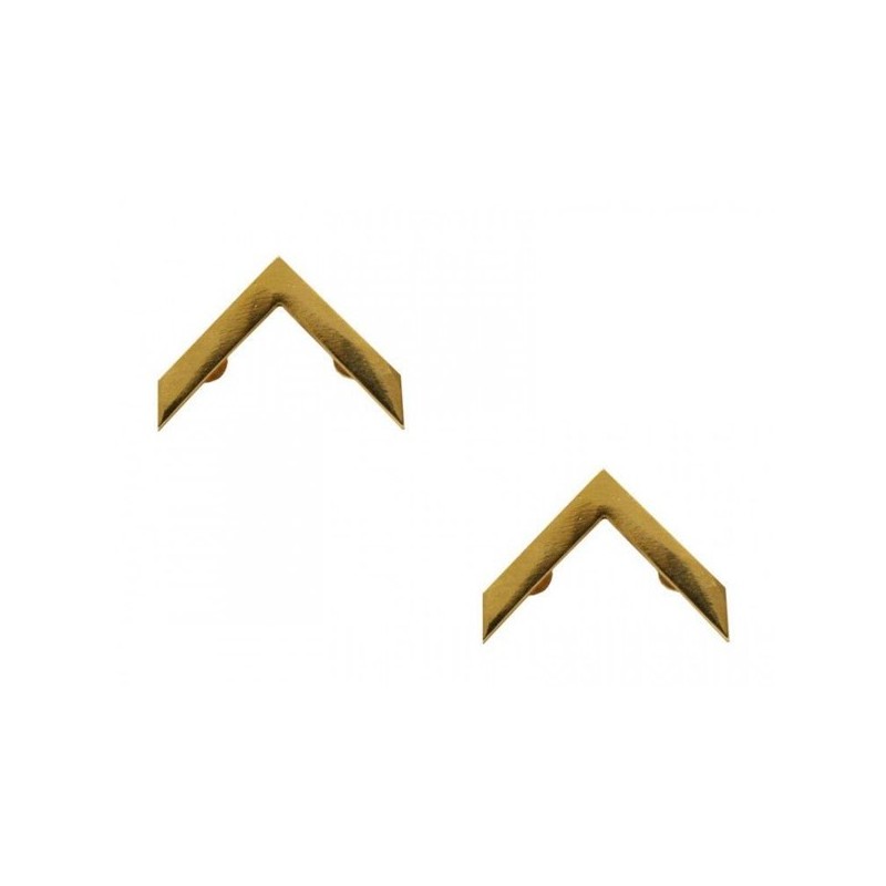 GALONES CABALLERO ALUMNO