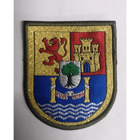 DISTINTIVO BRIMZ XI REPRESENTACION