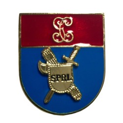 DISTINTIVO TITULO RIESGOS...