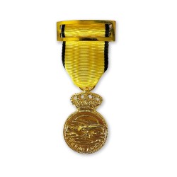 MEDALLA CONMEMORATIVA DANA...