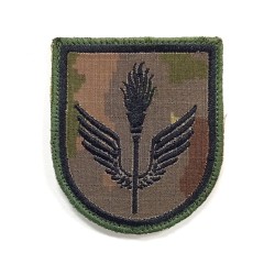 PARCHE BRAZO GRUPO LOGISTICO AVILA