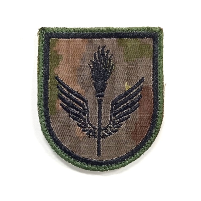 PARCHE BRAZO GRUPO LOGISTICO AVILA