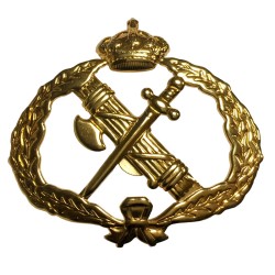 GALLETA BOINA OFICIALES...