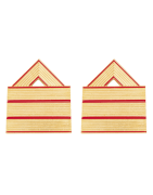 GALONES Y EMPLEOS METALICOS